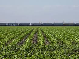 Agri-Pulse Podcast Examines 2026 U.S. Farm Economy Outlook