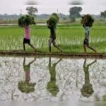 Economic Survey Highlights Private Capital and Climate Technology as Key Drivers for Agricultural Productivity