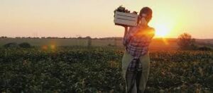 Global Agriculture Outlook: 2026 Brings Market Stabilisation but&hellip;