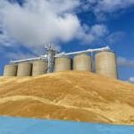 GrainCorp Warns of Lower FY2026 Profits as Global Grain Oversupply Weighs on Markets