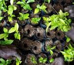 Circular Economy Gains Momentum in Agriculture Policy Frameworks