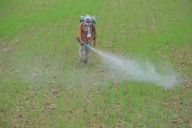 Andhra Pradesh Allocates ₹53,752 Crore to Strengthen Agriculture&hellip;