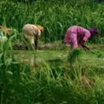 Jharkhand’s GIS-Based Climate-Smart Agriculture Earns National Recognition