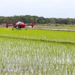 New Crop Protection Technology ‘SafeWax’ Promises Pesticide-Free and Climate-Resilient Farming