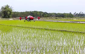 New Crop Protection Technology ‘SafeWax’ Promises Pesticide-Free and…