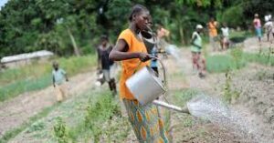 Water Scarcity and Food Security Dominate Global Agriculture&hellip;