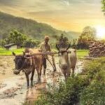 Global Governments Roll Out Over 1,000 New Agricultural Policies in Early 2026