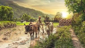 Global Governments Roll Out Over 1,000 New Agricultural&hellip;