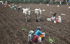 Centre Approves ₹894 Crore MSP Procurement for Telangana&hellip;