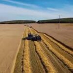Middle East Tensions Could Push Global Food Prices Higher