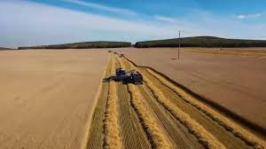 Middle East Tensions Could Push Global Food Prices Higher