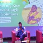 Rice Farmers in India to Benefit from ‘PaddyMitra’ Digital Advisory Initiative