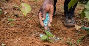 Geopolitical Tensions Threaten Global Fertilizer Supply, Raising Concerns&hellip;
