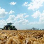 Corn and Soybean Prices Rise Ahead of Key USDA Planting Intentions Report