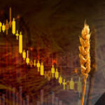 Global Food Prices Fall for Fifth Consecutive Month: FAO Report