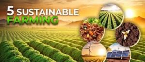 Top Agriculture Trends in 2026 Focus on Technology&hellip;