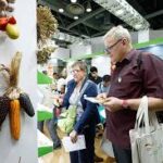 Global Demand for Organic Food Continues to Rise, Experts Say at Biofach Trade Fair