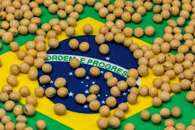 Brazil’s Soybean Production Forecast to Rise Nearly 15%&hellip;