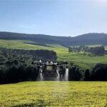 Global Agricultural Drones Market Poised for Strong Growth, Set to Reach USD 23.1 Billion by 2032