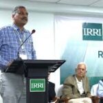 IRRI Experts Call for Policy Recalibration to Strengthen Global Rice Sector Resilience