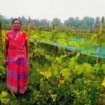 ACC Empowers Women Farmer in Jharkhand with Sustainable Farming Support
