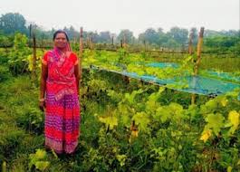 ACC Empowers Women Farmer in Jharkhand with Sustainable&hellip;