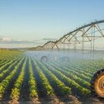 Global Agriculture Sector Expected to Stabilise in 2026, Experts Predict