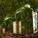 Global Fertilizer Price Trends Forecast for 2025