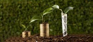 Global Fertilizer Price Trends Forecast for 2025