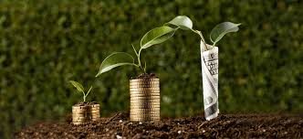 Global Fertilizer Price Trends Forecast for 2025