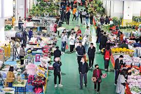 China’s Flower Industry Booms Amid Rising Demand and…