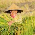 Global Campaign Launched to Empower Women Farmers in 2026
