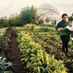 Experts Raise Concerns Over Crop Diversity and Sustainable Farming