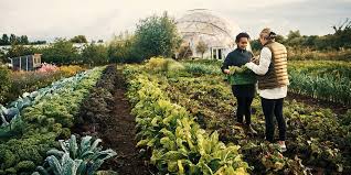 Experts Raise Concerns Over Crop Diversity and Sustainable&hellip;