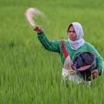 Global Supply Chain Pressures Intensify as Iran War Disrupts Food and Fertilizer Flows