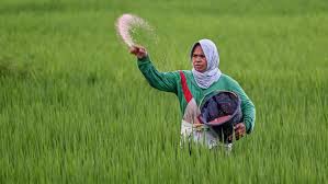 Global Supply Chain Pressures Intensify as Iran War…