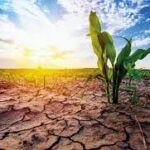 Global Agriculture Facing Climate and Fertilizer Risks in 2026