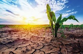 Global Agriculture Facing Climate and Fertilizer Risks in&hellip;