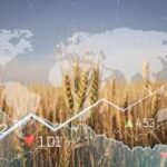 Global Agriculture Market Sees Shifts in Commodities and Production