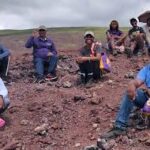 USDA Grant to Prairie View A&M University Strengthens Global Agriculture Training Initiatives