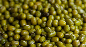 Balanced Crop Nutrition Identified as Key to Sustainable&hellip;