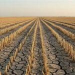 Severe Drought Grips U.S., Threatens Crops and Drives Food Prices Higher