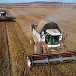 Global Crop Outlook Mixed Amid Climate Impacts on Agriculture