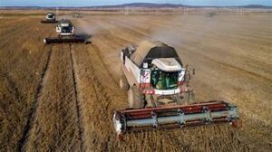 Global Crop Outlook Mixed Amid Climate Impacts on&hellip;