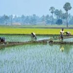 India Expands Natural Farming Push to Cut Costs and Build Climate Resilience