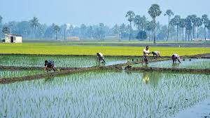 India Expands Natural Farming Push to Cut Costs&hellip;