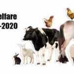 EU Animal Welfare Reforms Stall Amid Political Pressure