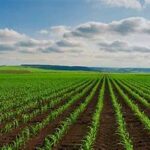 Global Agri-Business Markets Reshape Through Consolidation, New Biologicals, and Expanding Crop Input Portfolios
