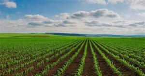 Global Agri-Business Markets Reshape Through Consolidation, New Biologicals,&hellip;