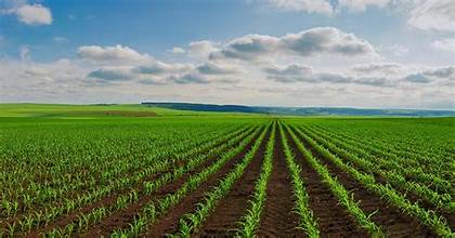 Global Agri-Business Markets Reshape Through Consolidation, New Biologicals, and Expanding Crop Input Portfolios